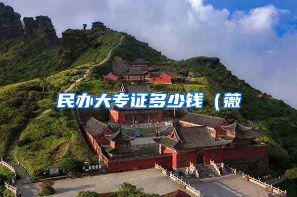 民办大专证多少钱（薇