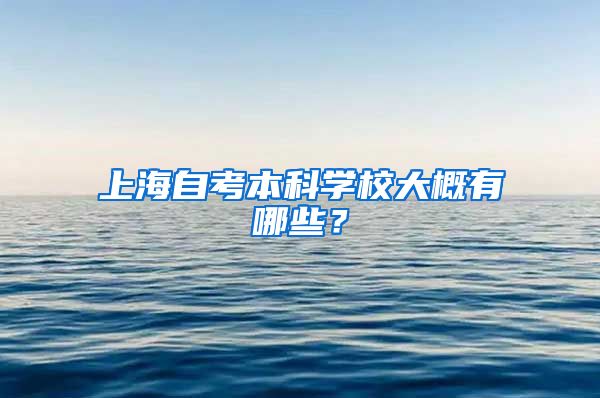 上海自考本科学校大概有哪些？