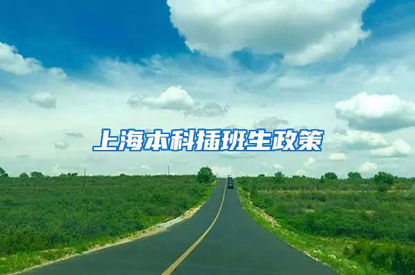 上海本科插班生政策