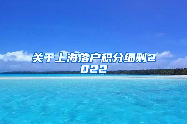 关于上海落户积分细则2022