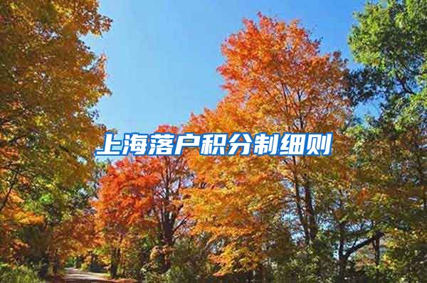 上海落户积分制细则