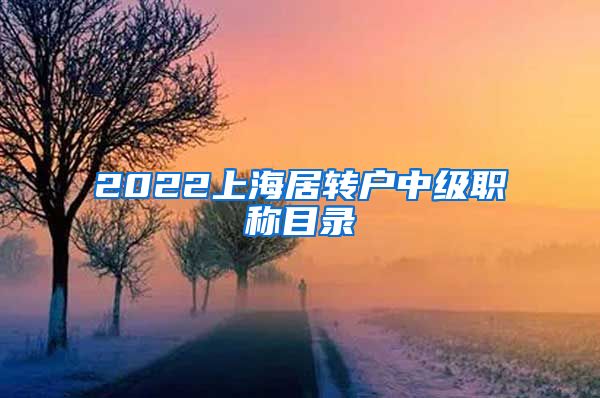 2022上海居转户中级职称目录