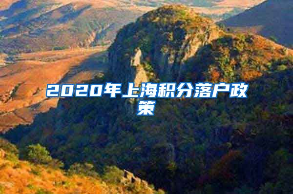 2020年上海积分落户政策
