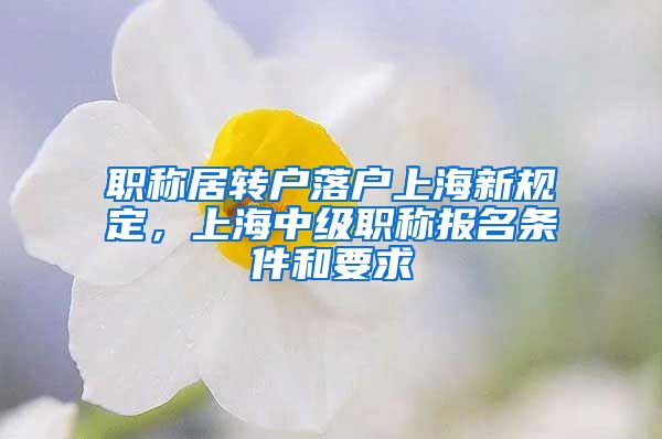 职称居转户落户上海新规定，上海中级职称报名条件和要求