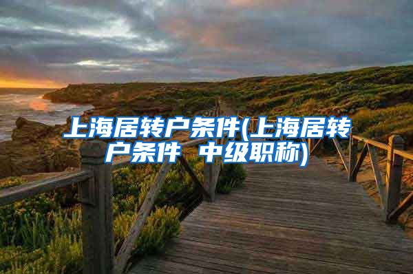 上海居转户条件(上海居转户条件 中级职称)