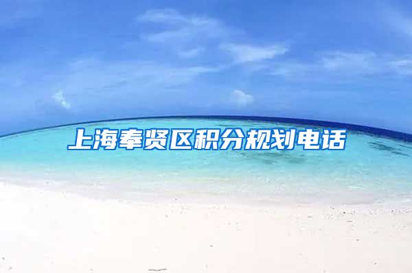 上海奉贤区积分规划电话