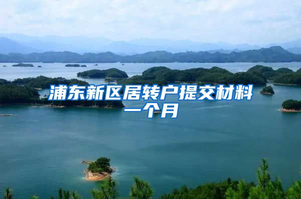 浦东新区居转户提交材料一个月
