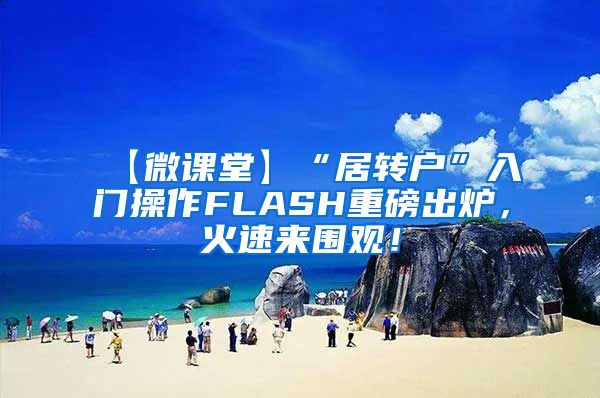 【微课堂】“居转户”入门操作FLASH重磅出炉，火速来围观！