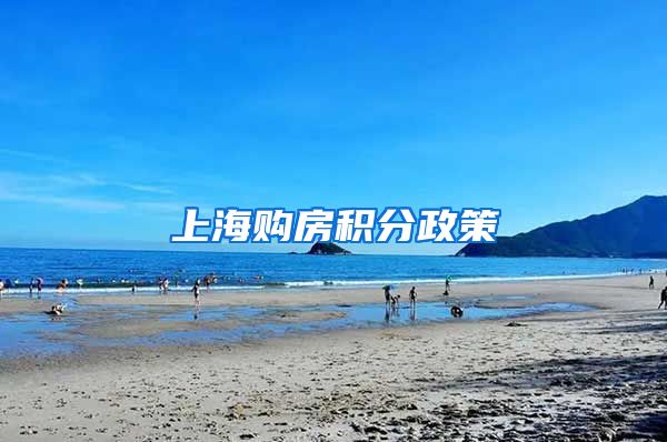 上海购房积分政策