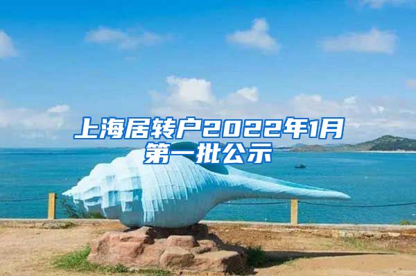 上海居转户2022年1月第一批公示