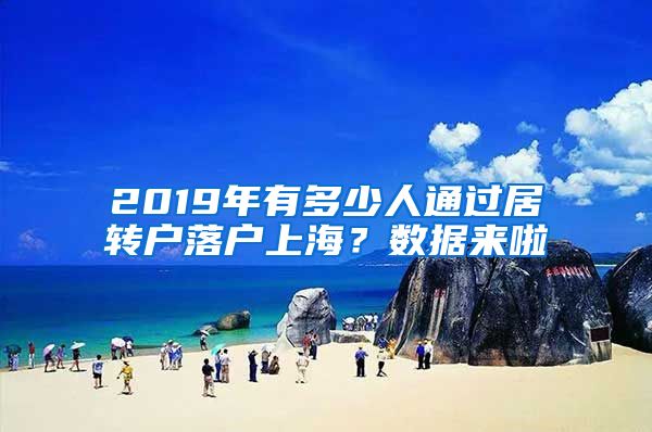 2019年有多少人通过居转户落户上海？数据来啦