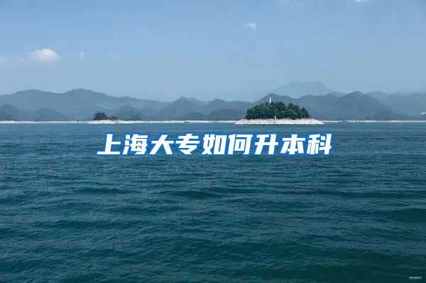 上海大专如何升本科