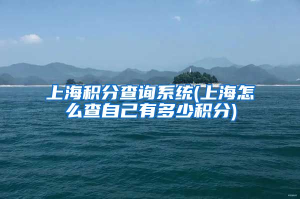 上海积分查询系统(上海怎么查自己有多少积分)