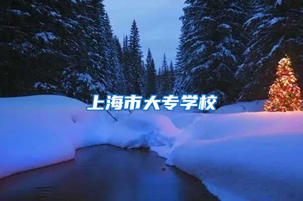 上海市大专学校