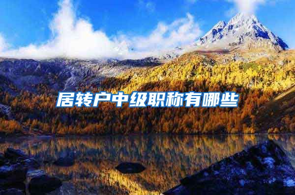 居转户中级职称有哪些