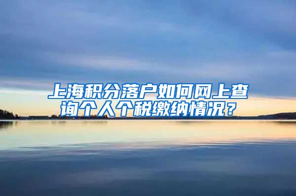 上海积分落户如何网上查询个人个税缴纳情况？