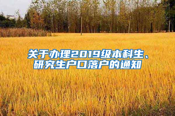 关于办理2019级本科生、研究生户口落户的通知
