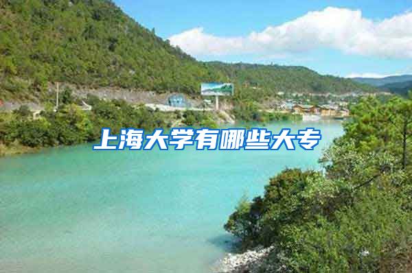 上海大学有哪些大专
