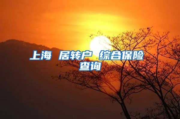 上海 居转户 综合保险 查询