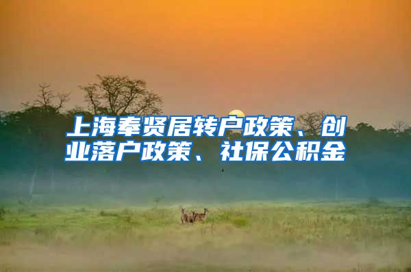 上海奉贤居转户政策、创业落户政策、社保公积金