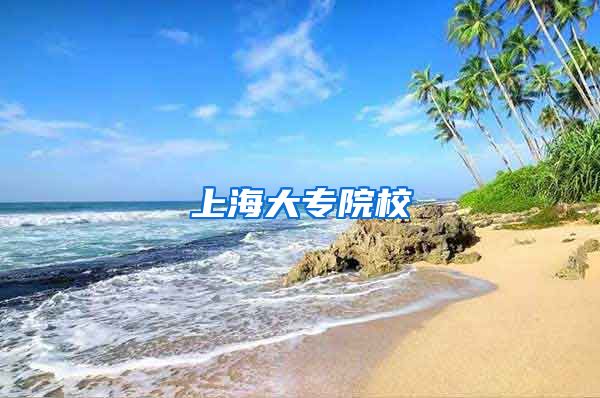 上海大专院校