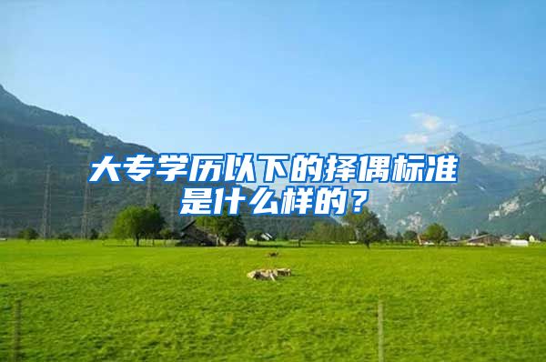 大专学历以下的择偶标准是什么样的？