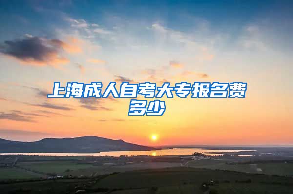 上海成人自考大专报名费多少