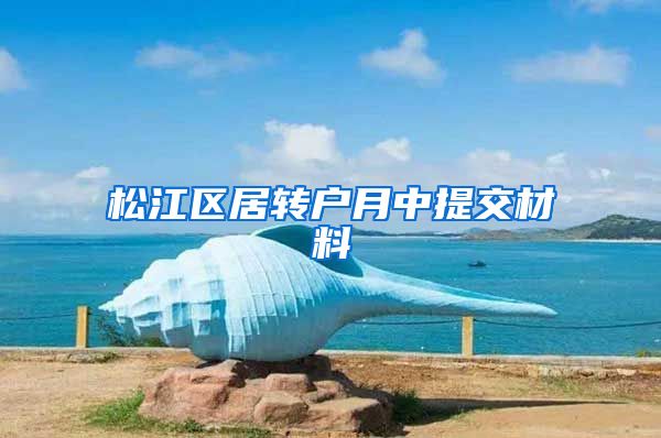 松江区居转户月中提交材料