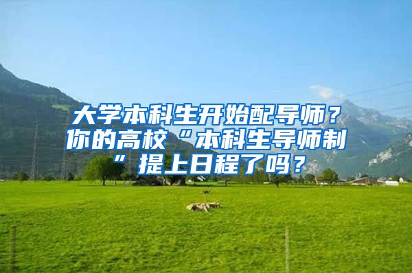 大学本科生开始配导师？你的高校“本科生导师制”提上日程了吗？