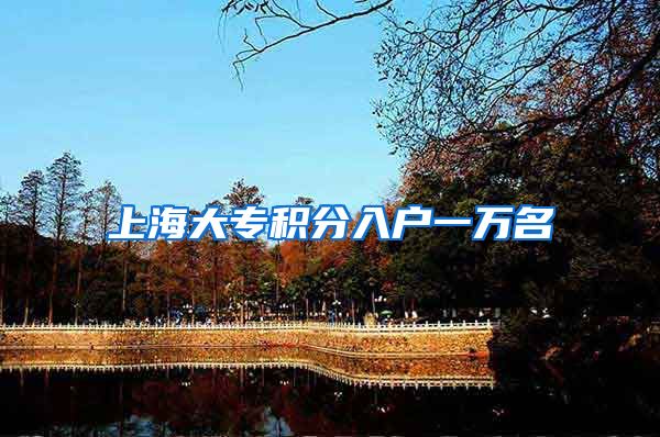 上海大专积分入户一万名