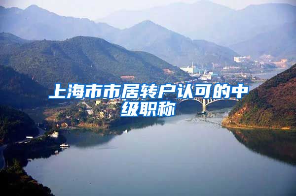上海市市居转户认可的中级职称