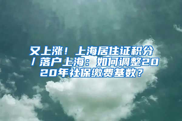 又上涨！上海居住证积分／落户上海：如何调整2020年社保缴费基数？