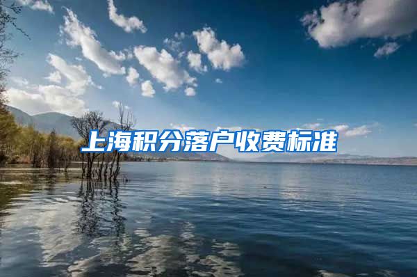 上海积分落户收费标准