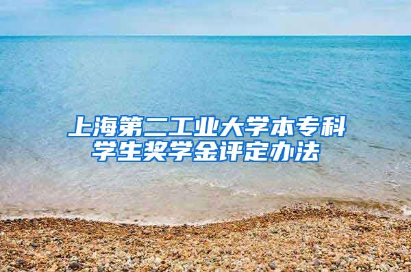 上海第二工业大学本专科学生奖学金评定办法