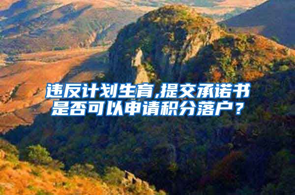 违反计划生育,提交承诺书是否可以申请积分落户？