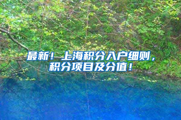 最新！上海积分入户细则，积分项目及分值！