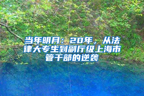 当年明月：20年，从法律大专生到副厅级上海市管干部的逆袭