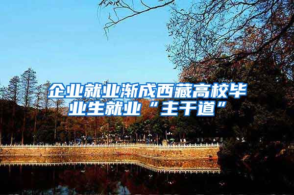 企业就业渐成西藏高校毕业生就业“主干道”