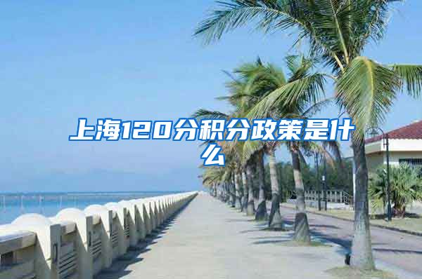 上海120分积分政策是什么