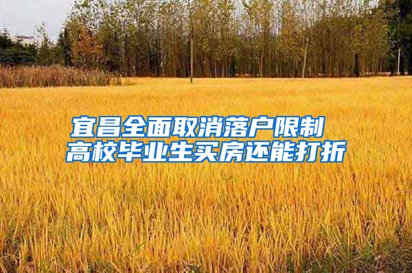 宜昌全面取消落户限制 高校毕业生买房还能打折