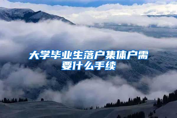 大学毕业生落户集体户需要什么手续