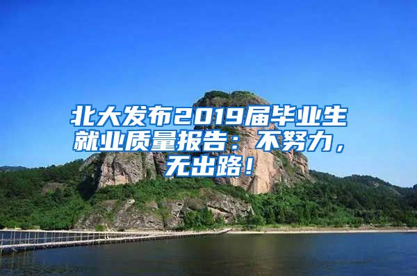 北大发布2019届毕业生就业质量报告：不努力，无出路！