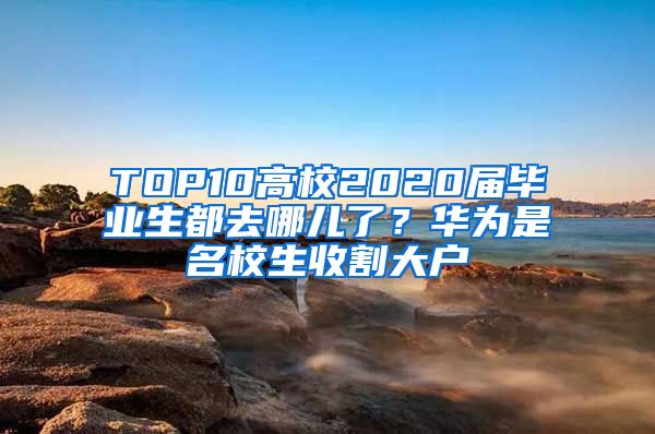 TOP10高校2020届毕业生都去哪儿了？华为是名校生收割大户