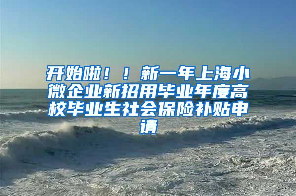 开始啦！！新一年上海小微企业新招用毕业年度高校毕业生社会保险补贴申请