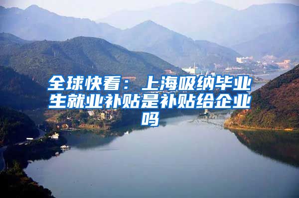 全球快看：上海吸纳毕业生就业补贴是补贴给企业吗