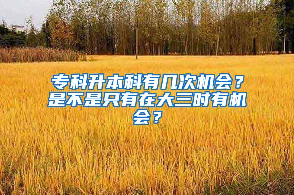 专科升本科有几次机会？是不是只有在大三时有机会？