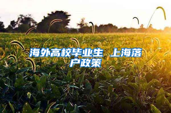 海外高校毕业生 上海落户政策