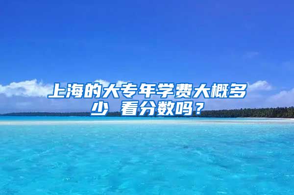 上海的大专年学费大概多少 看分数吗？