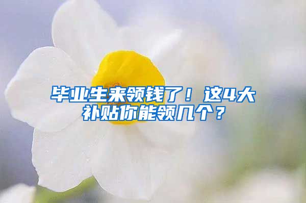 毕业生来领钱了！这4大补贴你能领几个？
