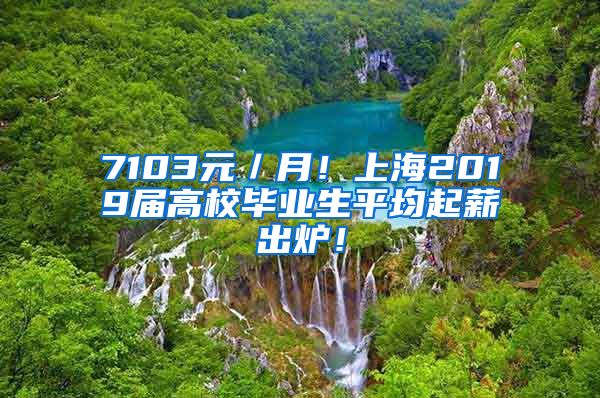 7103元／月！上海2019届高校毕业生平均起薪出炉！